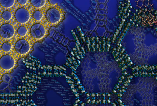 分子篩的結(jié)構(gòu)有什么特點？